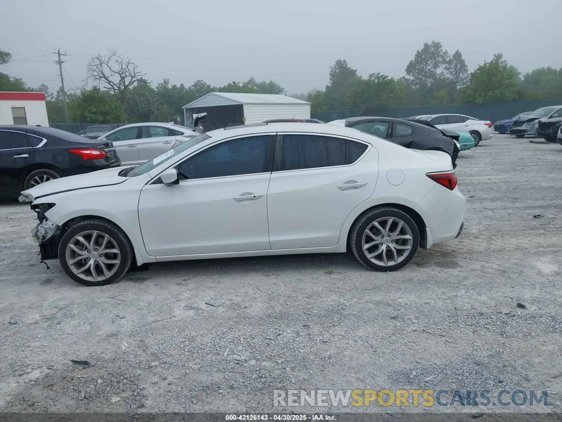 14 Фотография поврежденного автомобиля 19UDE2F30MA003028 ACURA ILX 2021