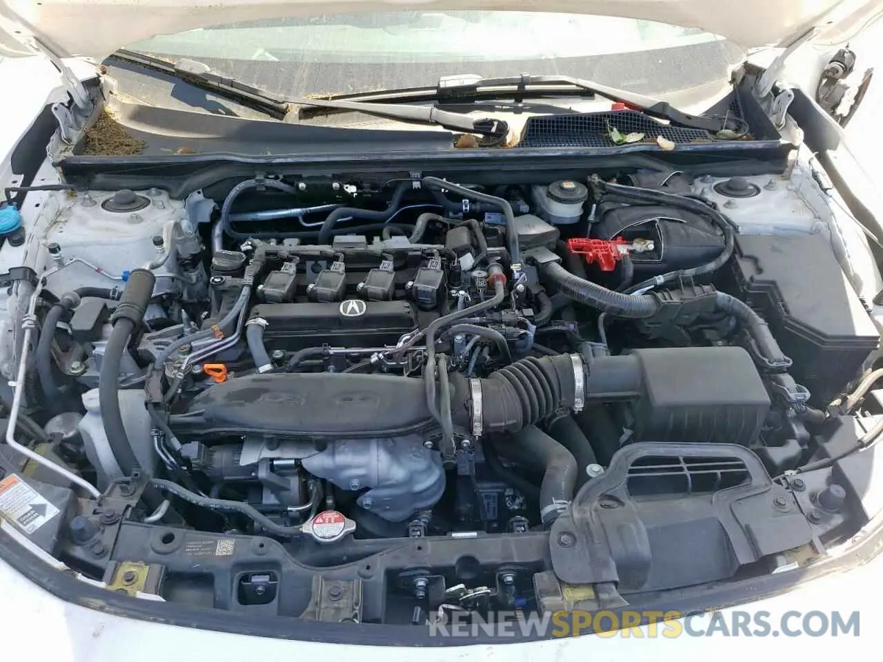 13 Photograph of a damaged car 19UDE4H29PA008961 ACURA INTEGRA 2023