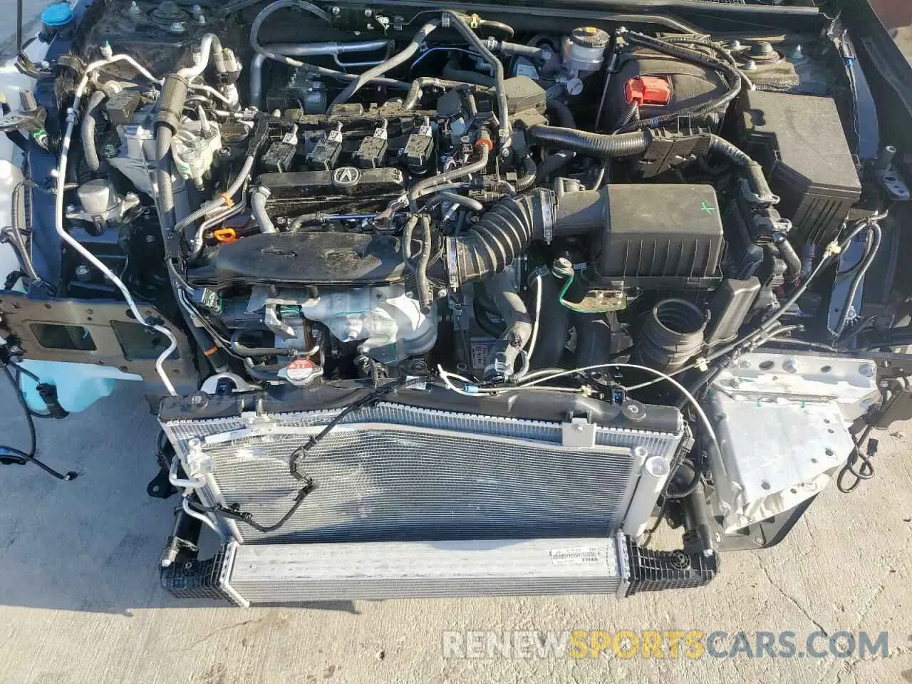 11 Photograph of a damaged car 19UDE4H38RA028386 ACURA INTEGRA A- 2024
