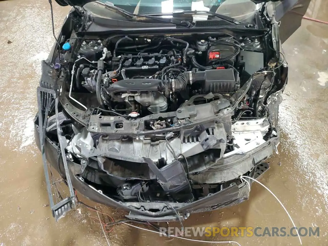 11 Photograph of a damaged car 19UDE4H62RA025686 ACURA INTEGRA A- 2024
