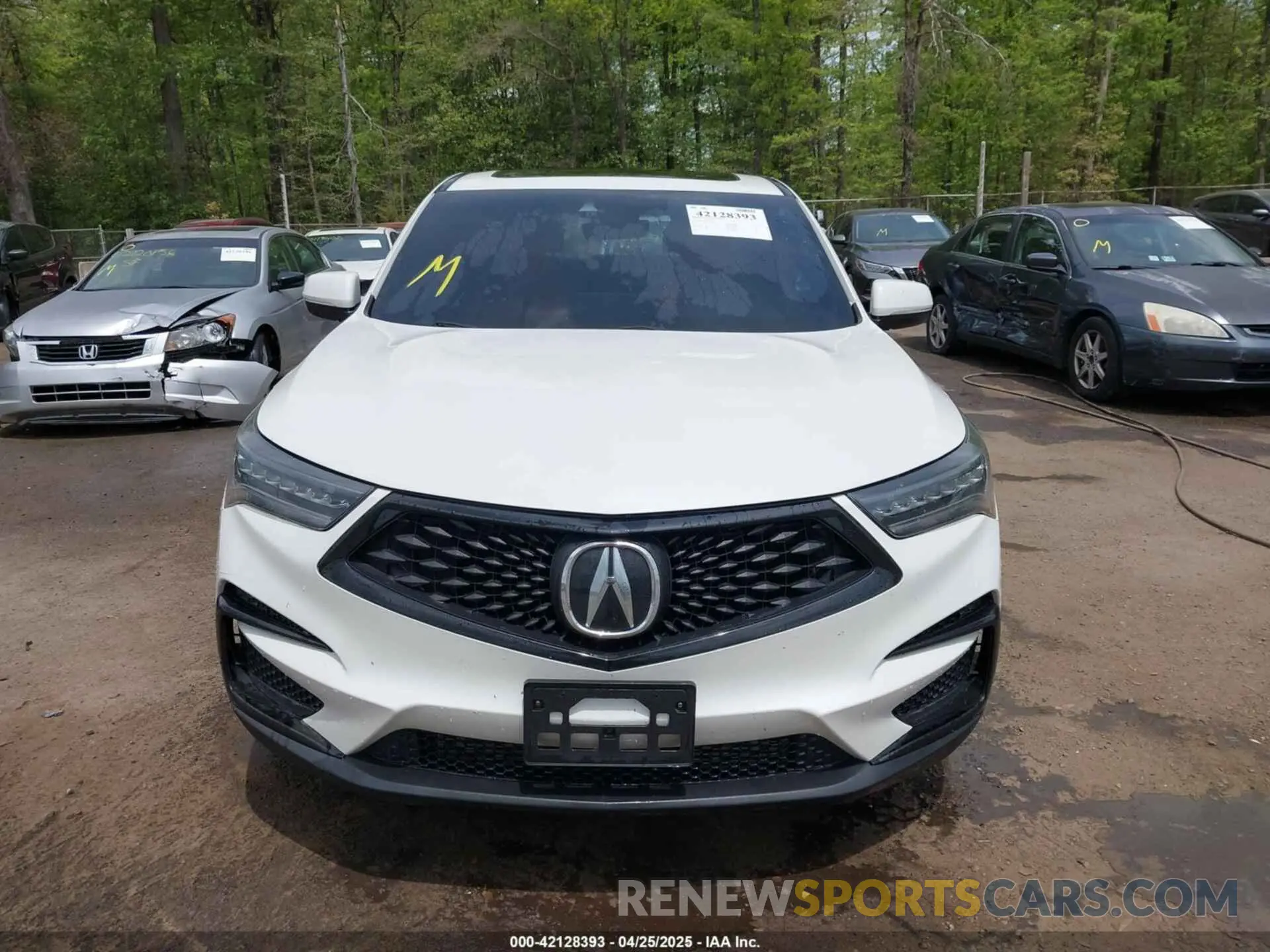 12 Фотография поврежденного автомобиля 5J8TC2H63ML048400 ACURA RDX 2021