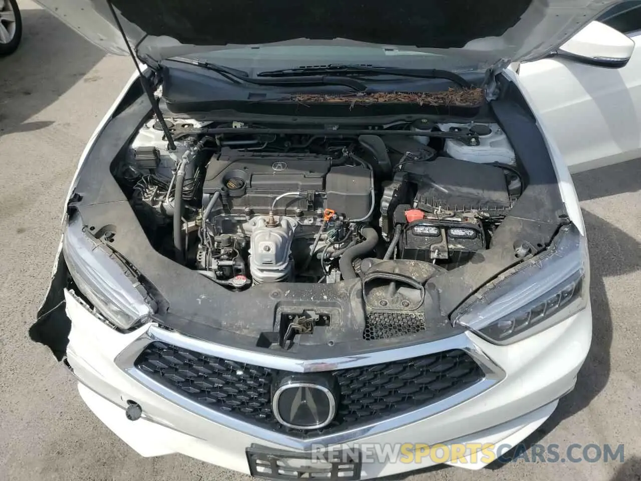 11 Photograph of a damaged car 19UUB1F33KA007915 ACURA TLX 2019