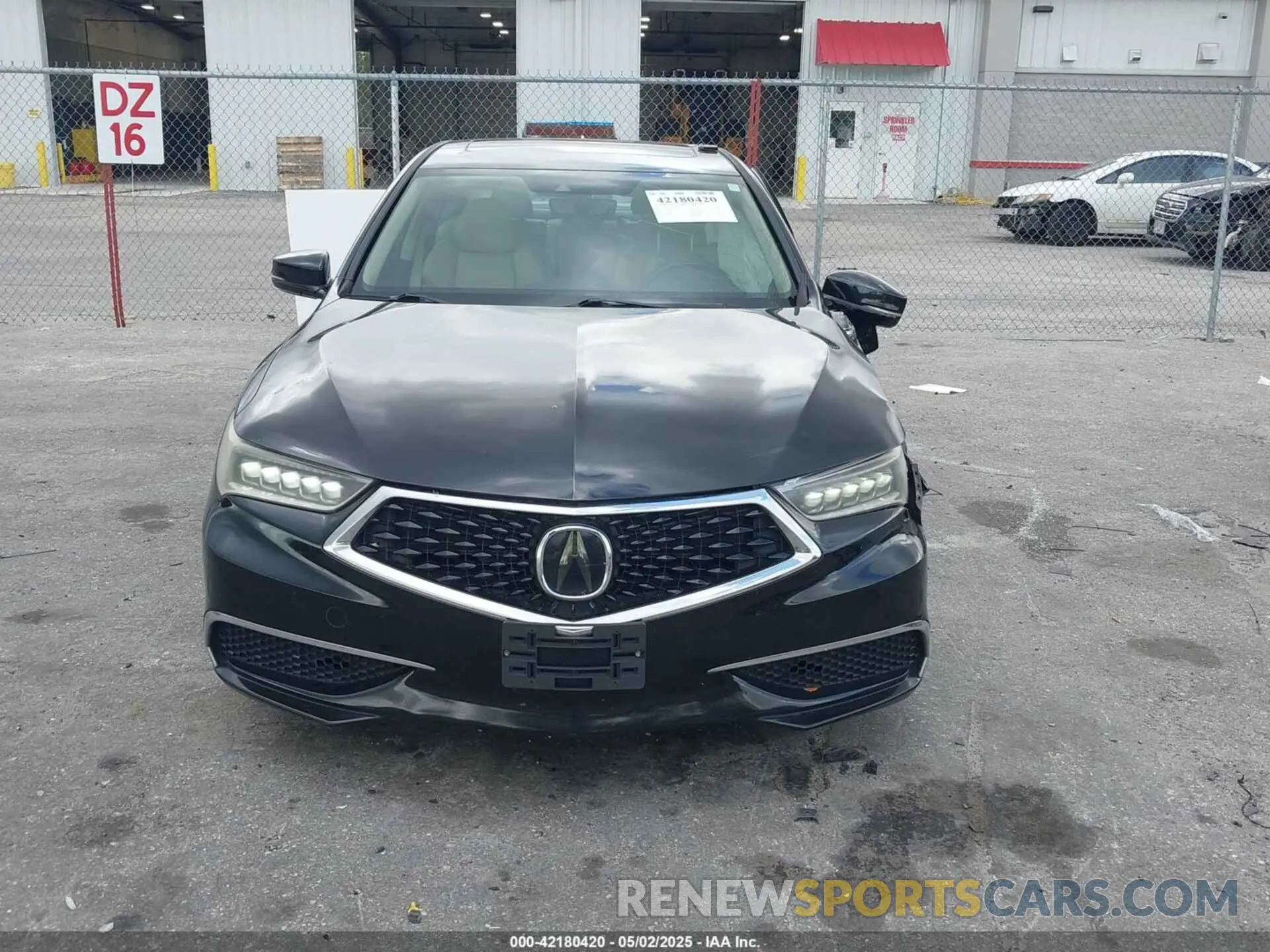 13 Photograph of a damaged car 19UUB1F33KA010488 ACURA TLX 2019