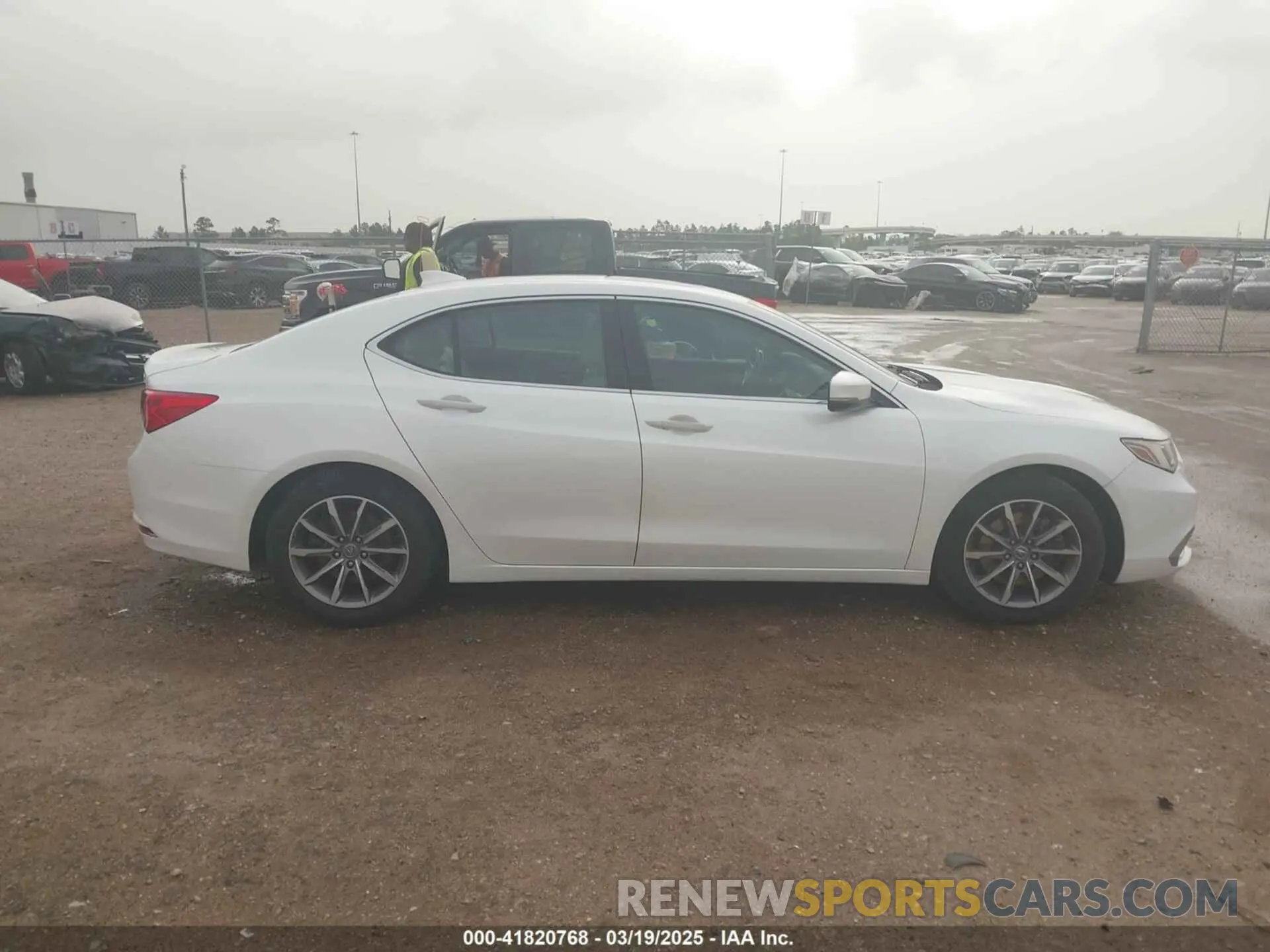 13 Фотография поврежденного автомобиля 19UUB1F36KA006211 ACURA TLX 2019
