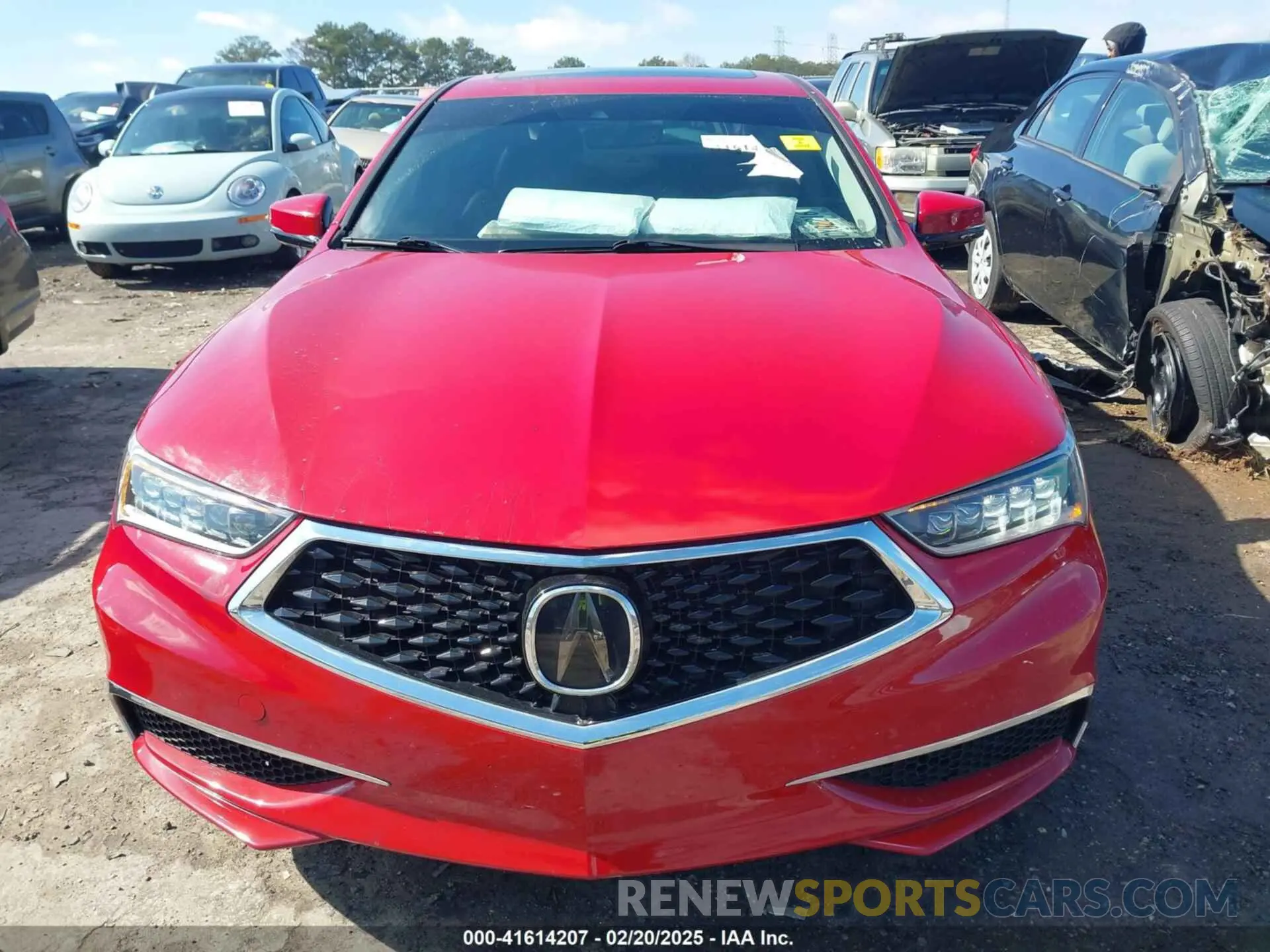 12 Photograph of a damaged car 19UUB1F36KA007116 ACURA TLX 2019