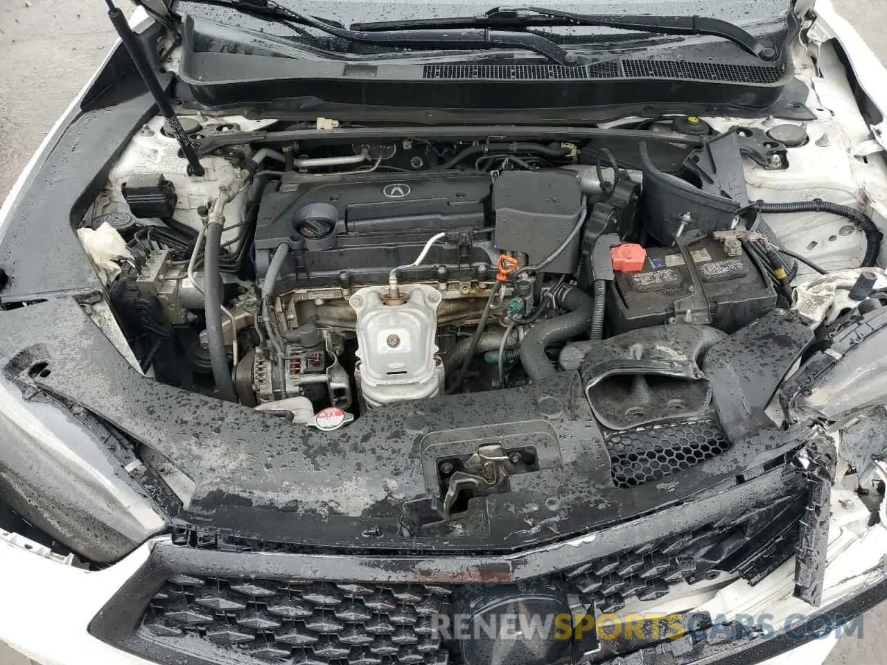 11 Photograph of a damaged car 19UUB1F3XKA009337 ACURA TLX 2019