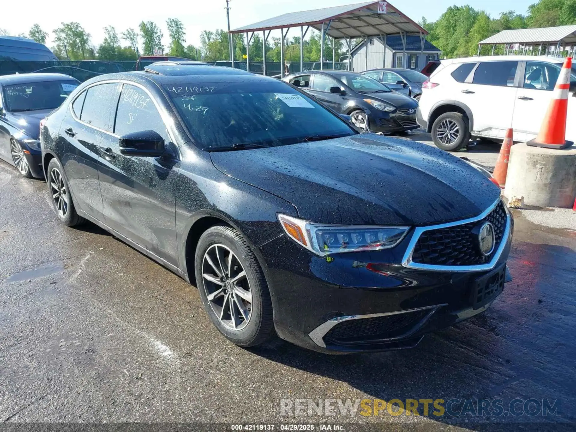 1 Photograph of a damaged car 19UUB1F52KA000293 ACURA TLX 2019