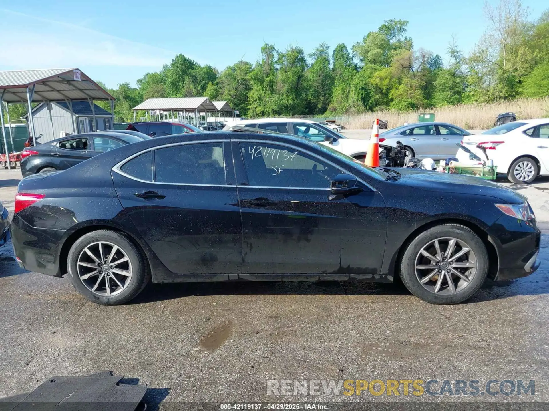 12 Photograph of a damaged car 19UUB1F52KA000293 ACURA TLX 2019