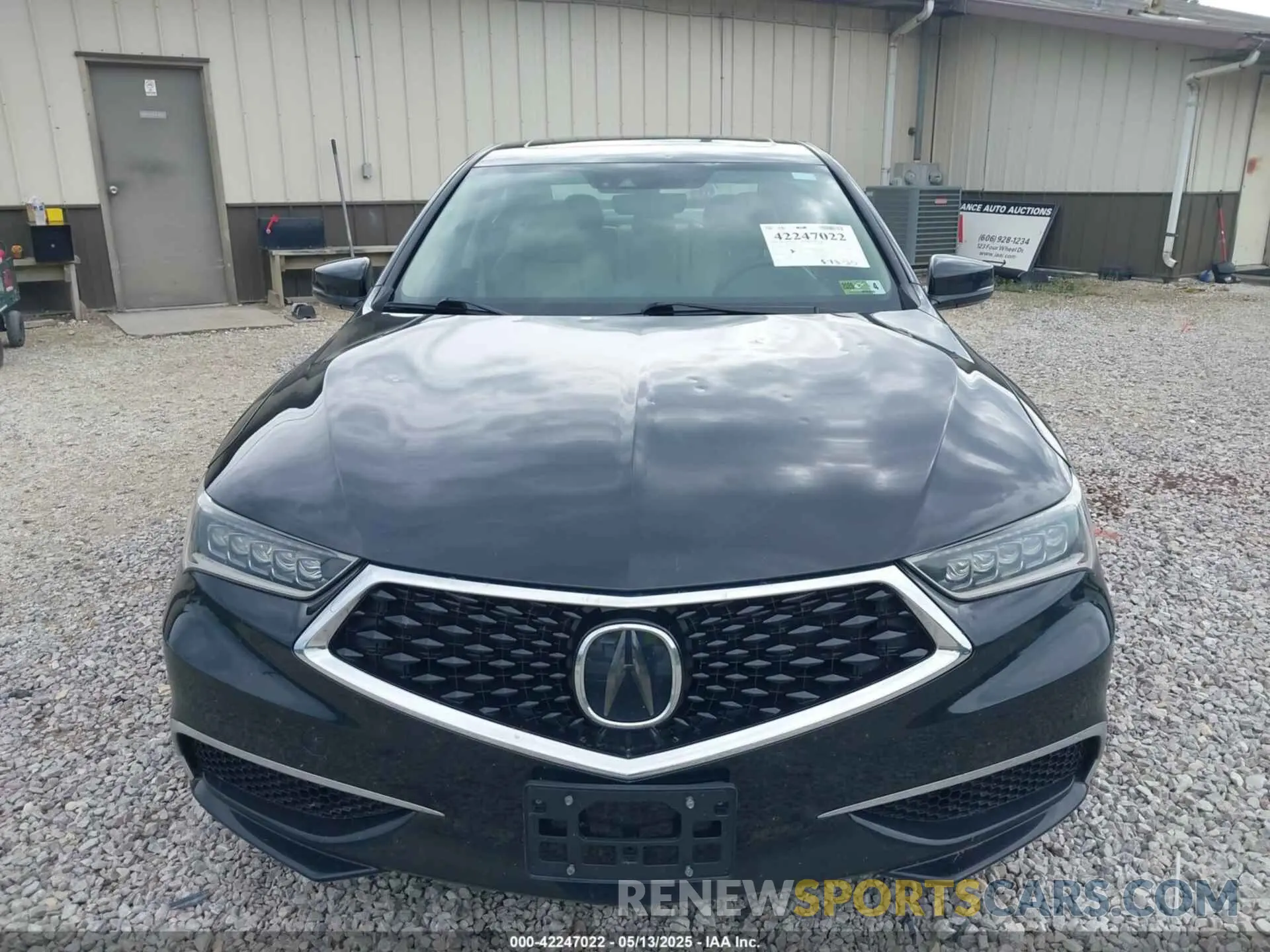 12 Фотография поврежденного автомобиля 19UUB1F53KA010492 ACURA TLX 2019