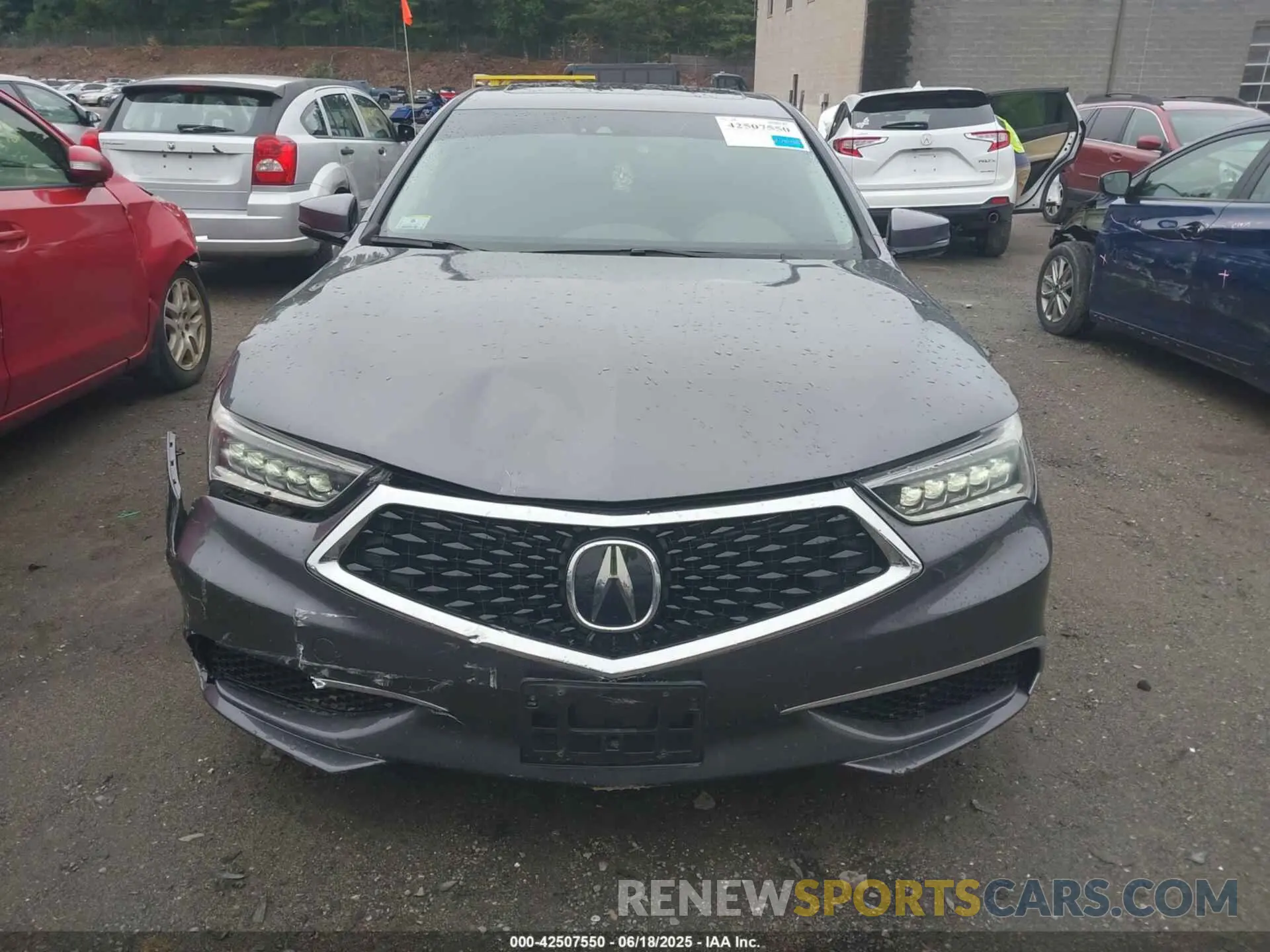 12 Photograph of a damaged car 19UUB1F54KA009075 ACURA TLX 2019