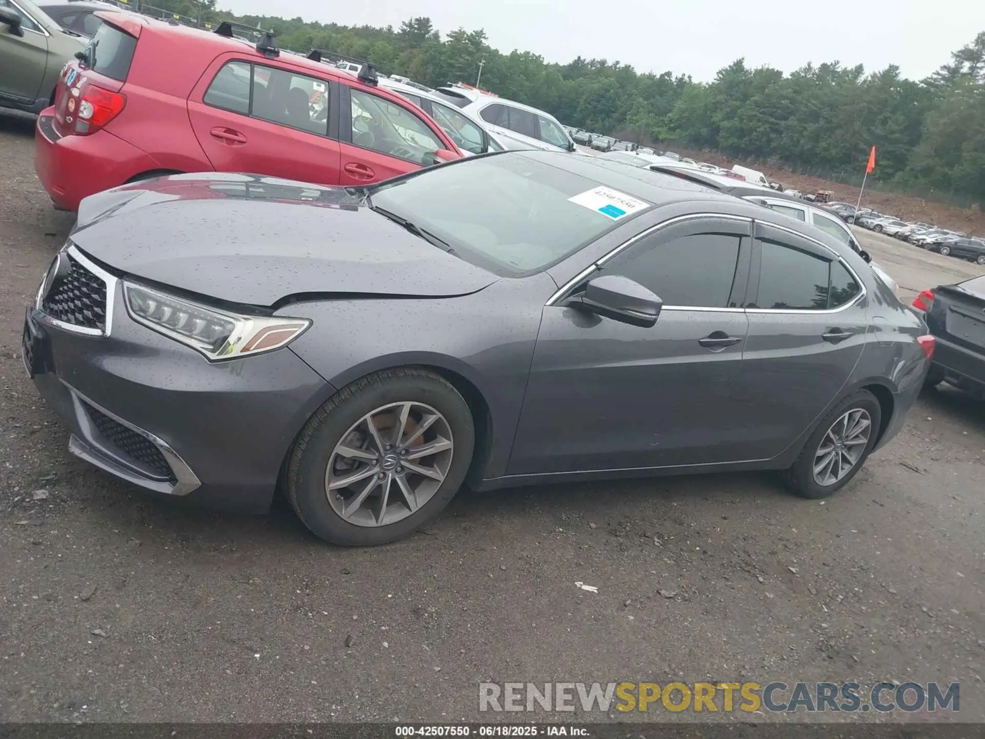 14 Photograph of a damaged car 19UUB1F54KA009075 ACURA TLX 2019