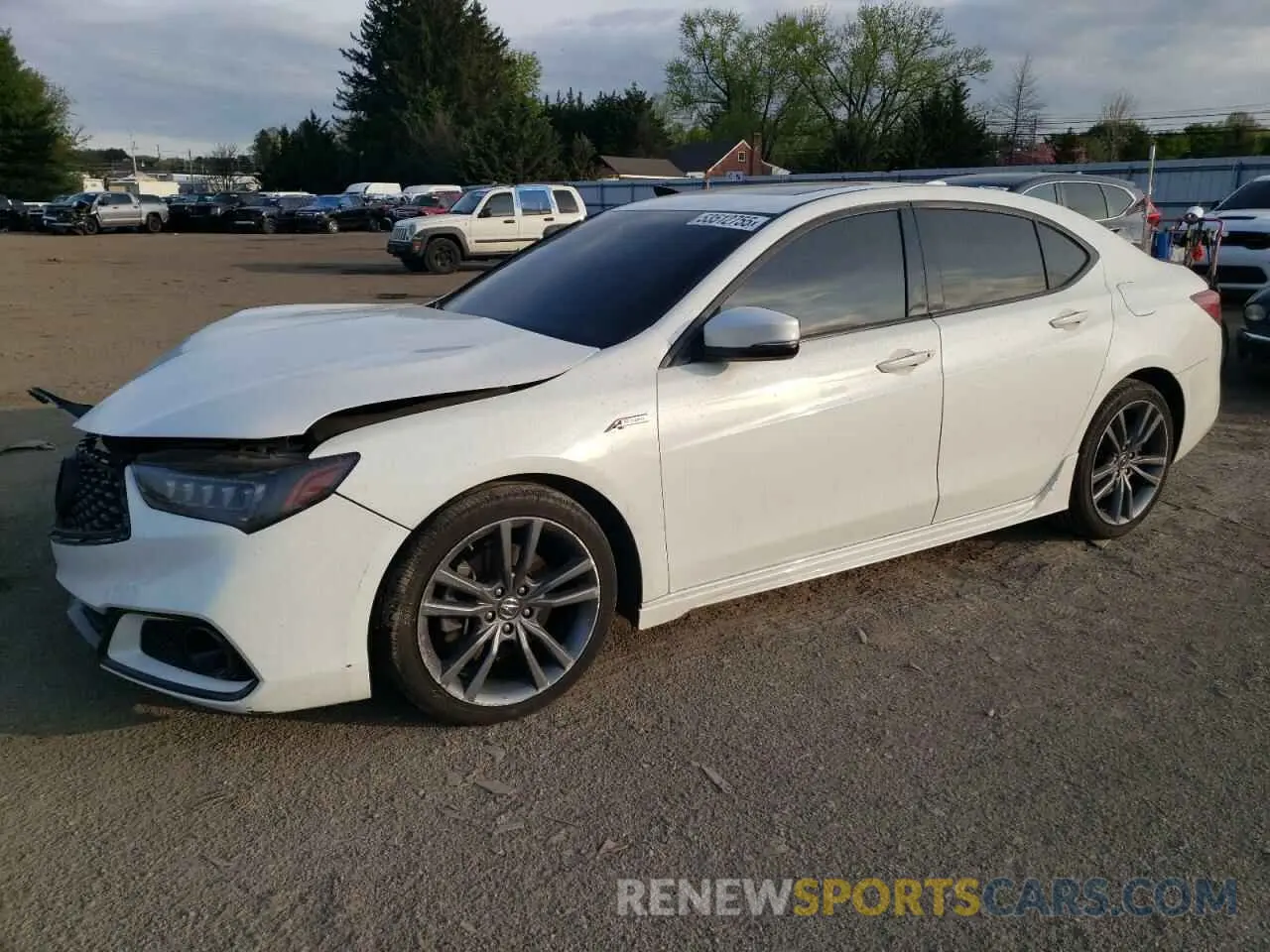 1 Photograph of a damaged car 19UUB1F63KA001901 ACURA TLX 2019