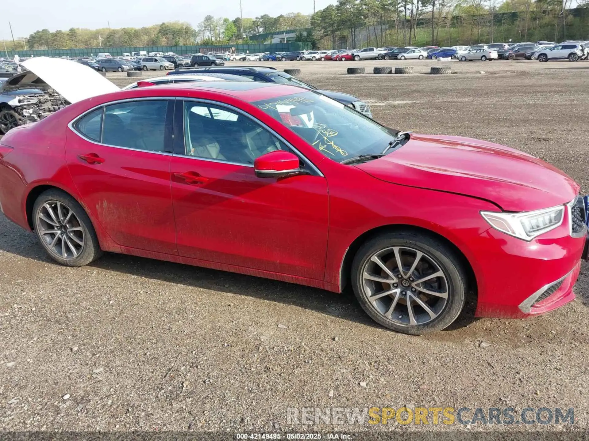 13 Photograph of a damaged car 19UUB2F37KA005185 ACURA TLX 2019