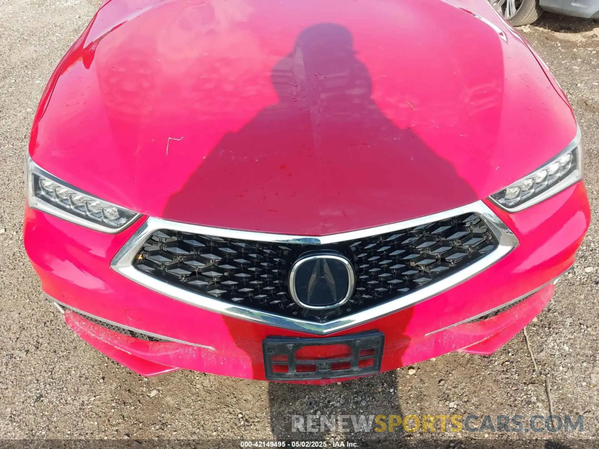 6 Photograph of a damaged car 19UUB2F37KA005185 ACURA TLX 2019