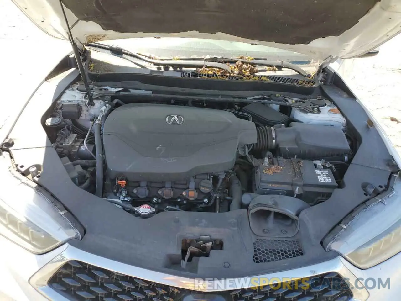 11 Photograph of a damaged car 19UUB2F46KA008345 ACURA TLX 2019