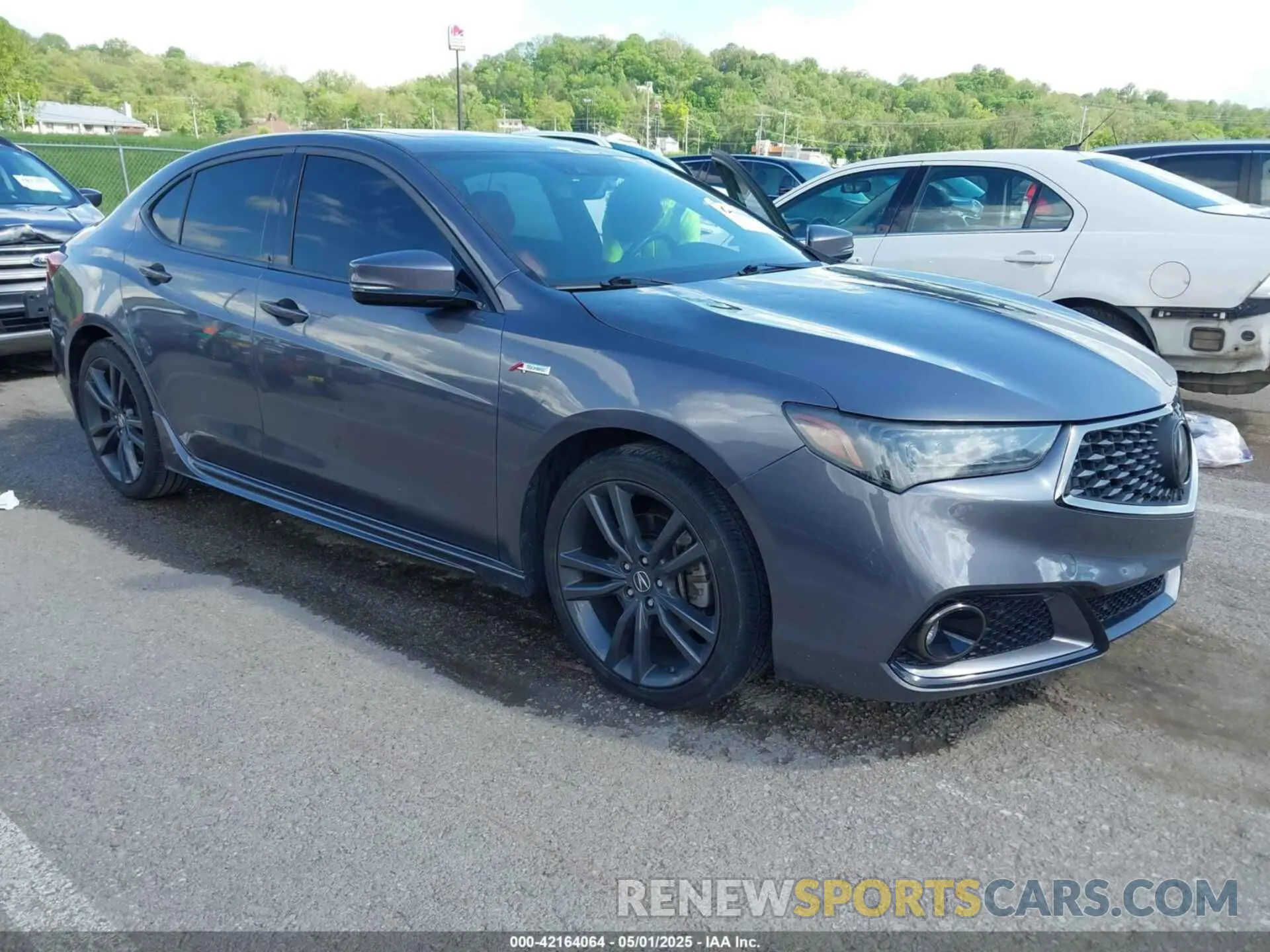 1 Photograph of a damaged car 19UUB2F61KA000932 ACURA TLX 2019