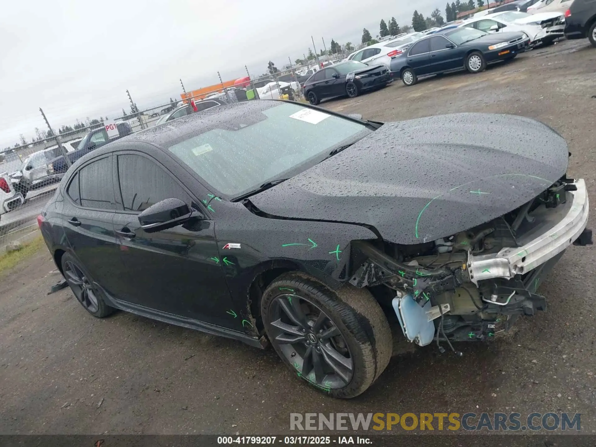 14 Photograph of a damaged car 19UUB2F61KA005581 ACURA TLX 2019