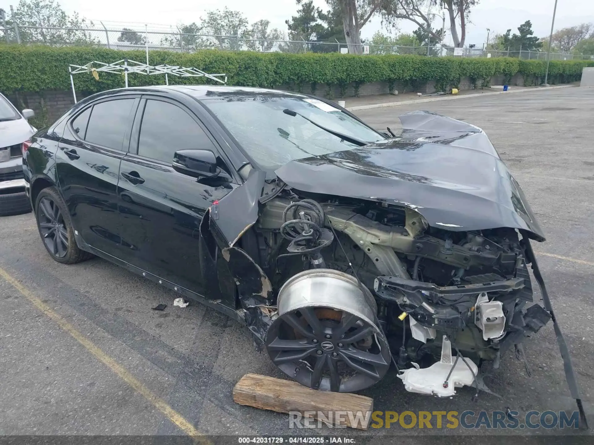1 Photograph of a damaged car 19UUB2F63KA002536 ACURA TLX 2019