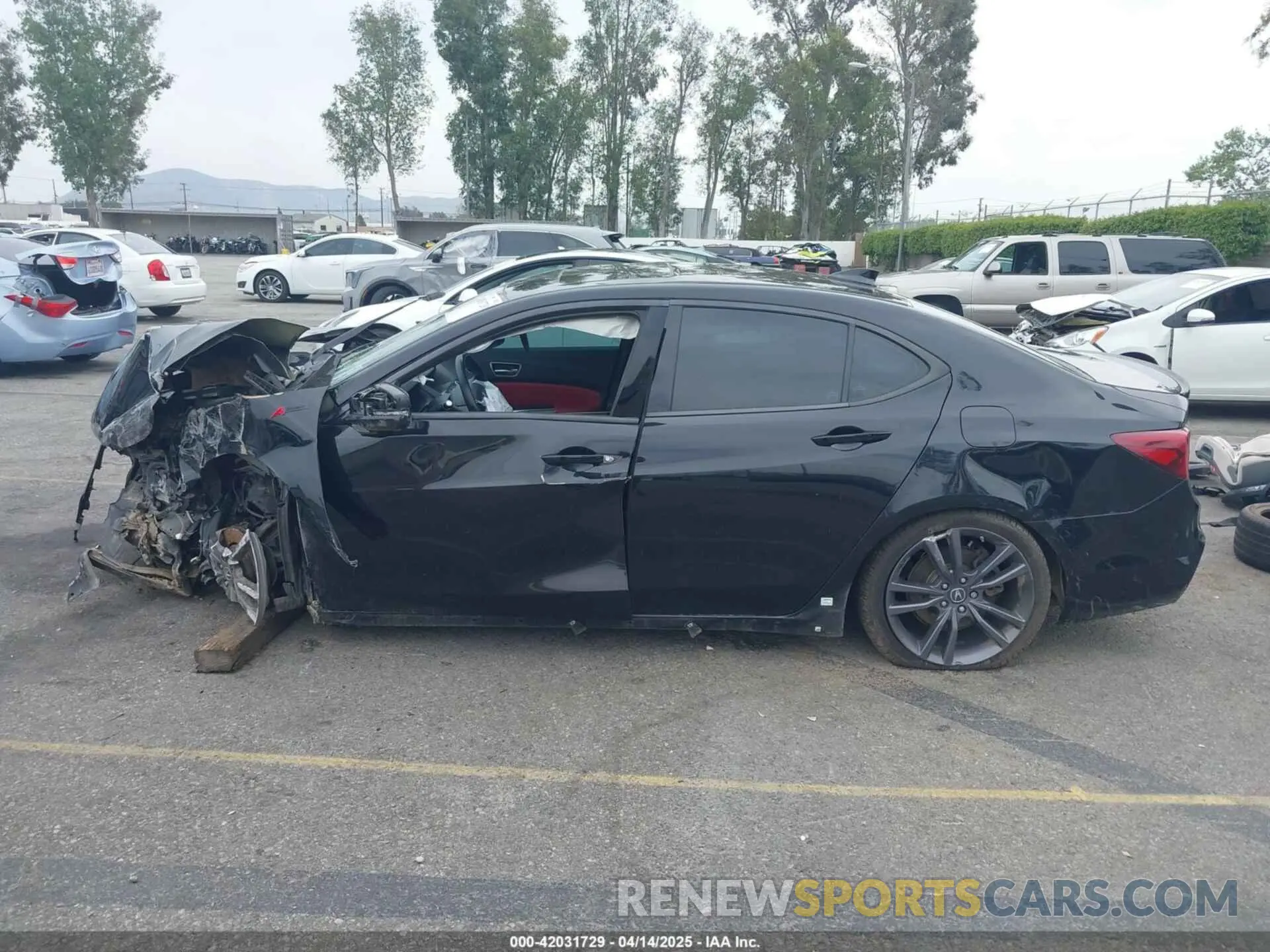 14 Photograph of a damaged car 19UUB2F63KA002536 ACURA TLX 2019