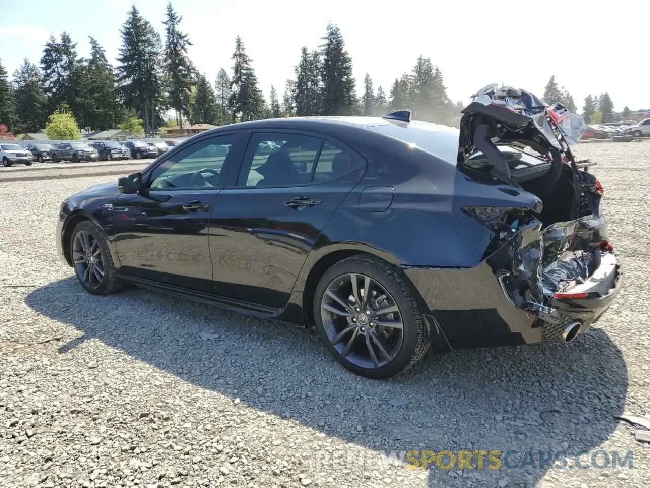 2 Photograph of a damaged car 19UUB2F69KA000449 ACURA TLX 2019