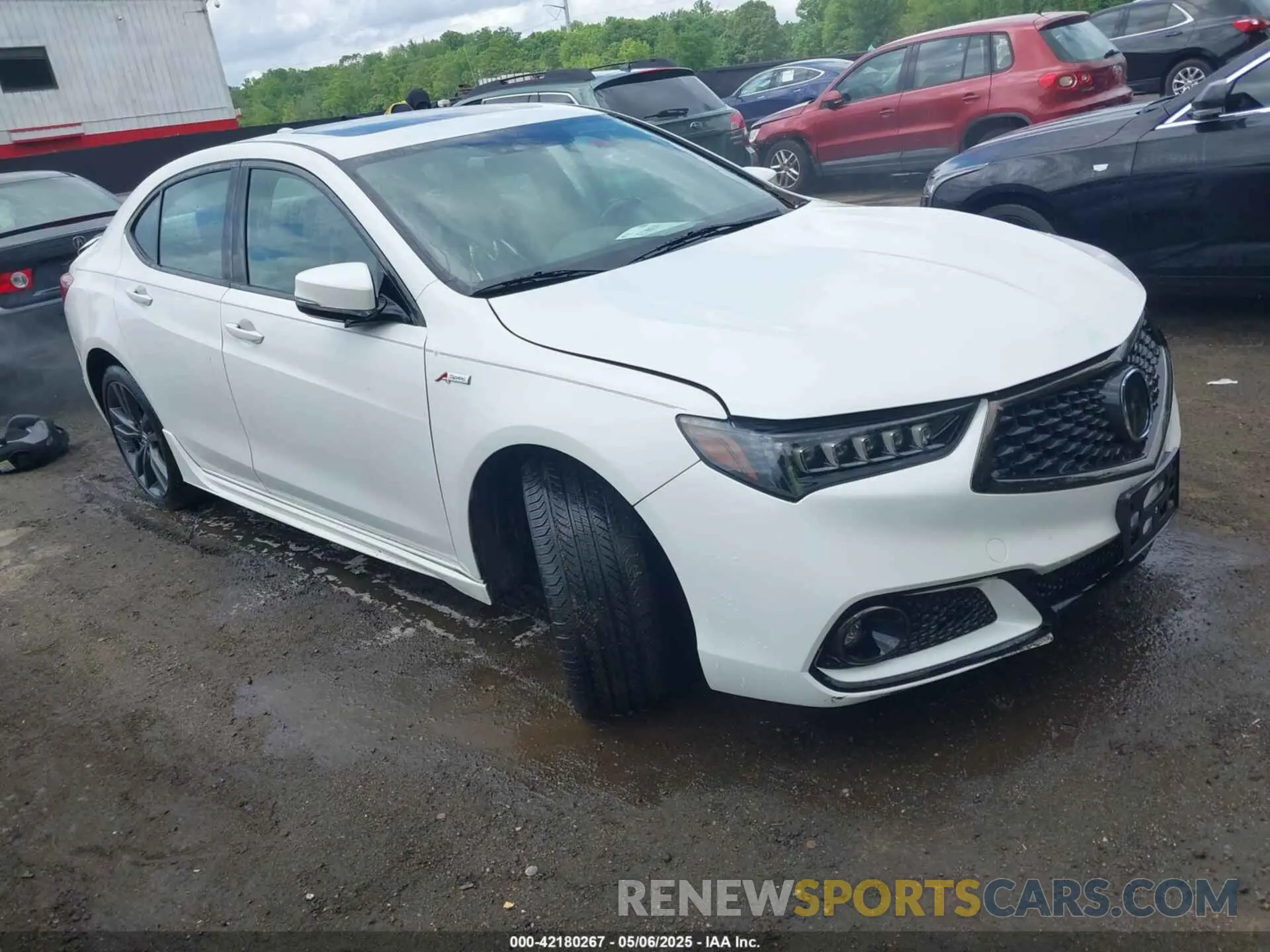 1 Фотография поврежденного автомобиля 19UUB3F60KA005206 ACURA TLX 2019