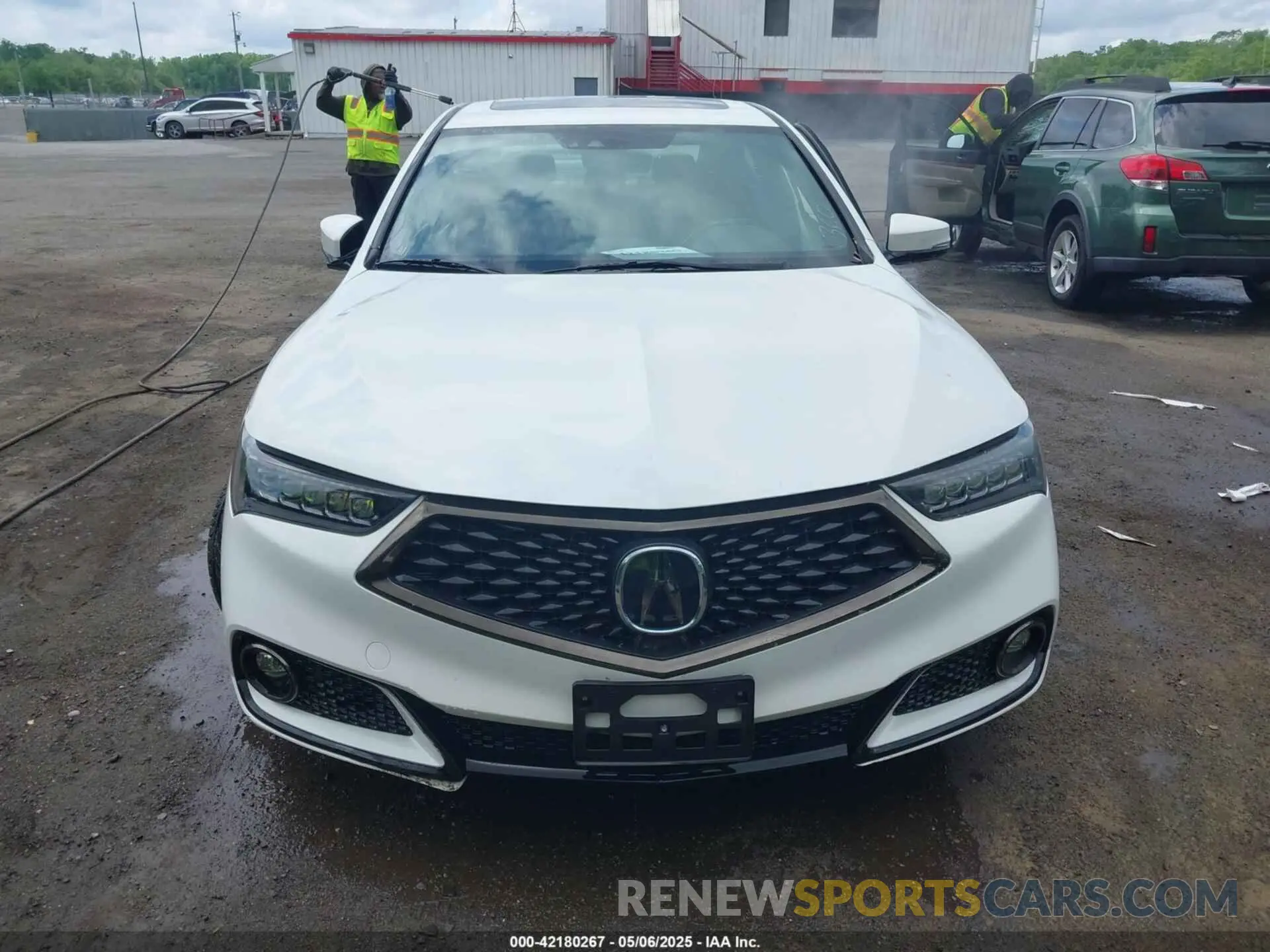 12 Фотография поврежденного автомобиля 19UUB3F60KA005206 ACURA TLX 2019