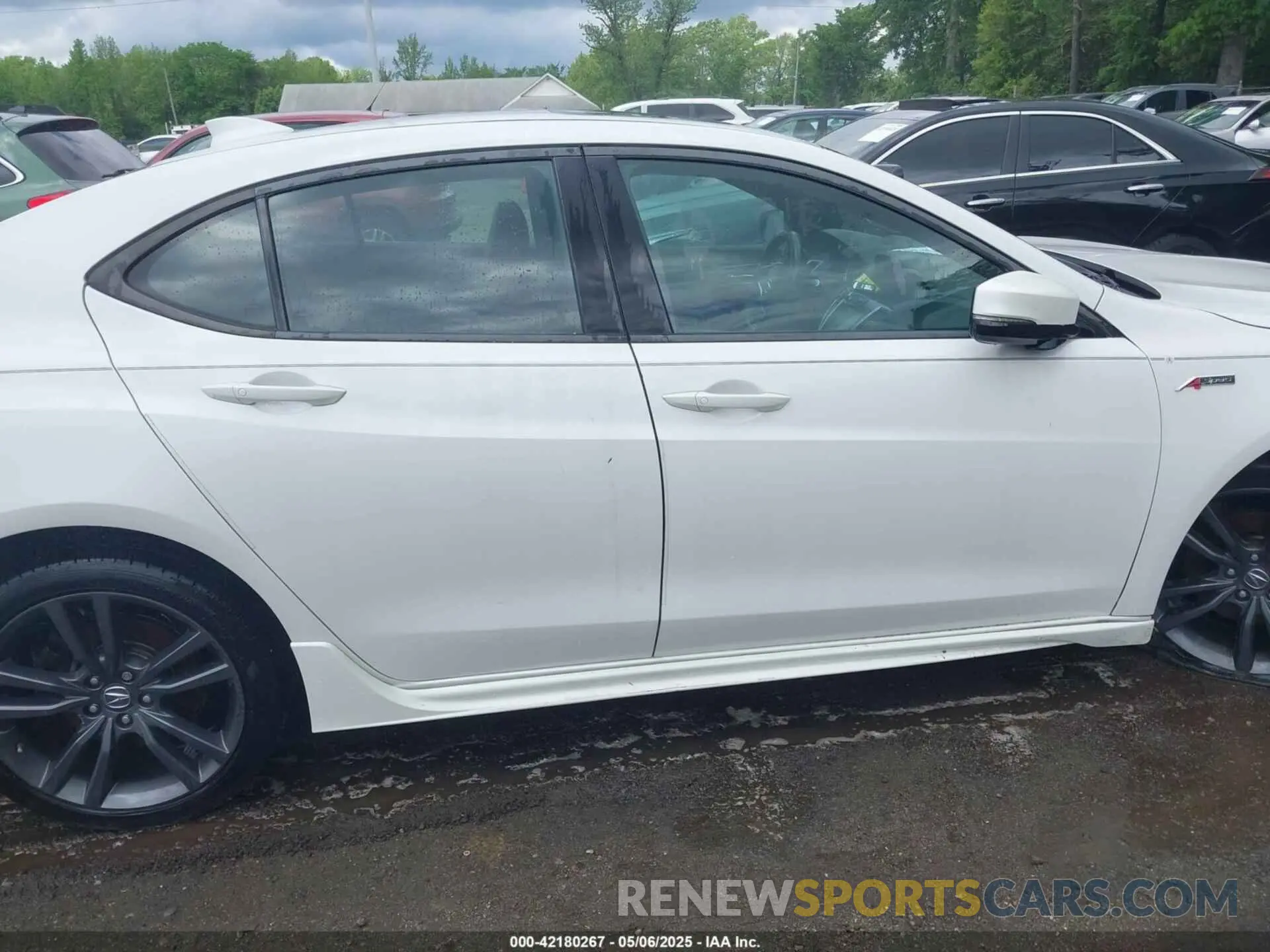 13 Фотография поврежденного автомобиля 19UUB3F60KA005206 ACURA TLX 2019