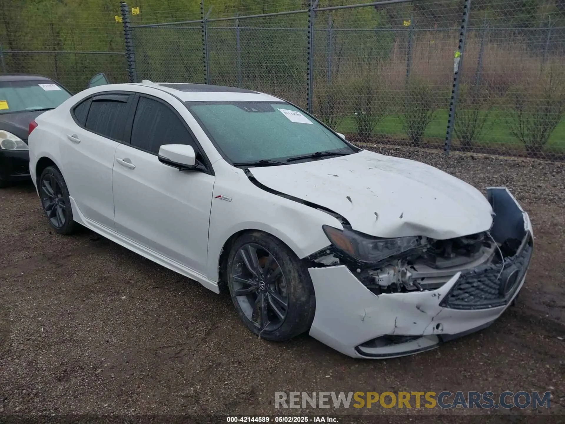 1 Photograph of a damaged car 19UUB3F63KA800671 ACURA TLX 2019