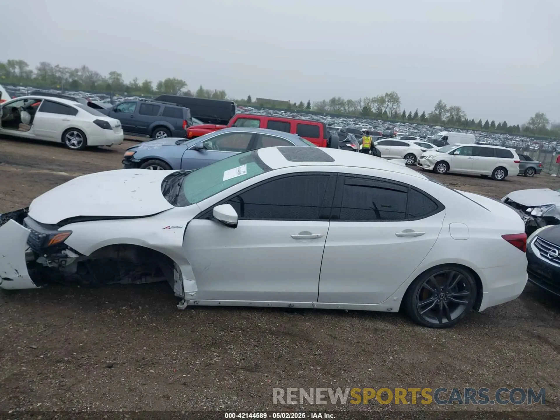 14 Photograph of a damaged car 19UUB3F63KA800671 ACURA TLX 2019