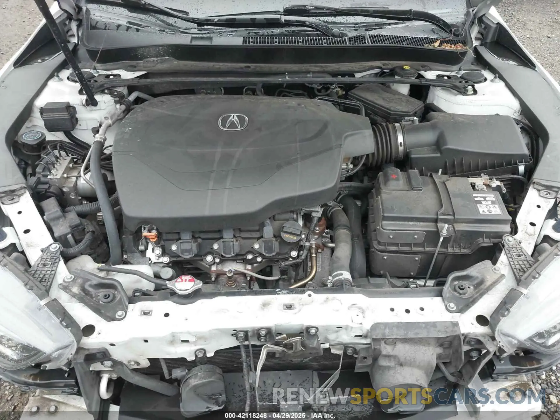 10 Photograph of a damaged car 19UUB3F6XKA003799 ACURA TLX 2019