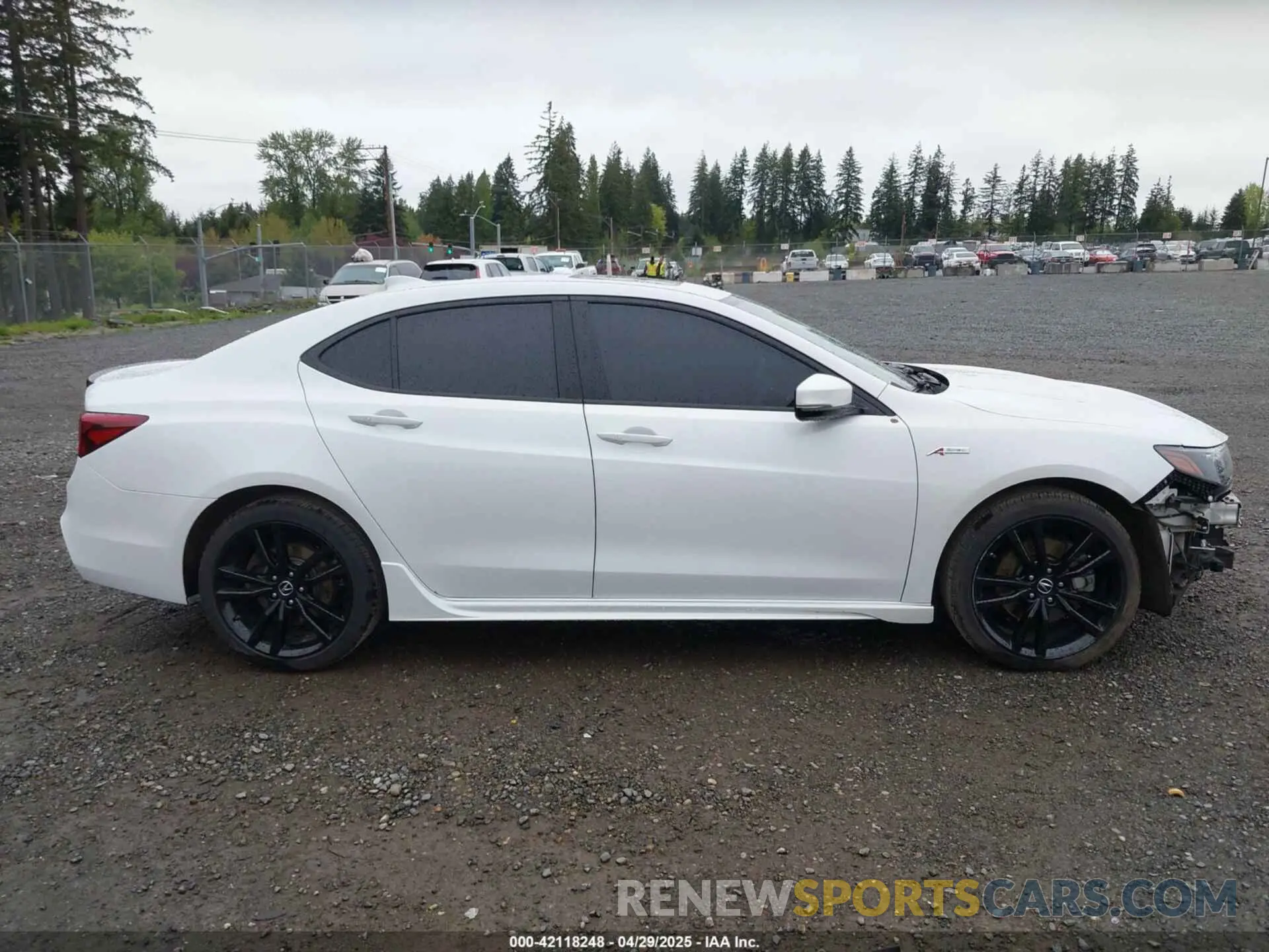 14 Photograph of a damaged car 19UUB3F6XKA003799 ACURA TLX 2019