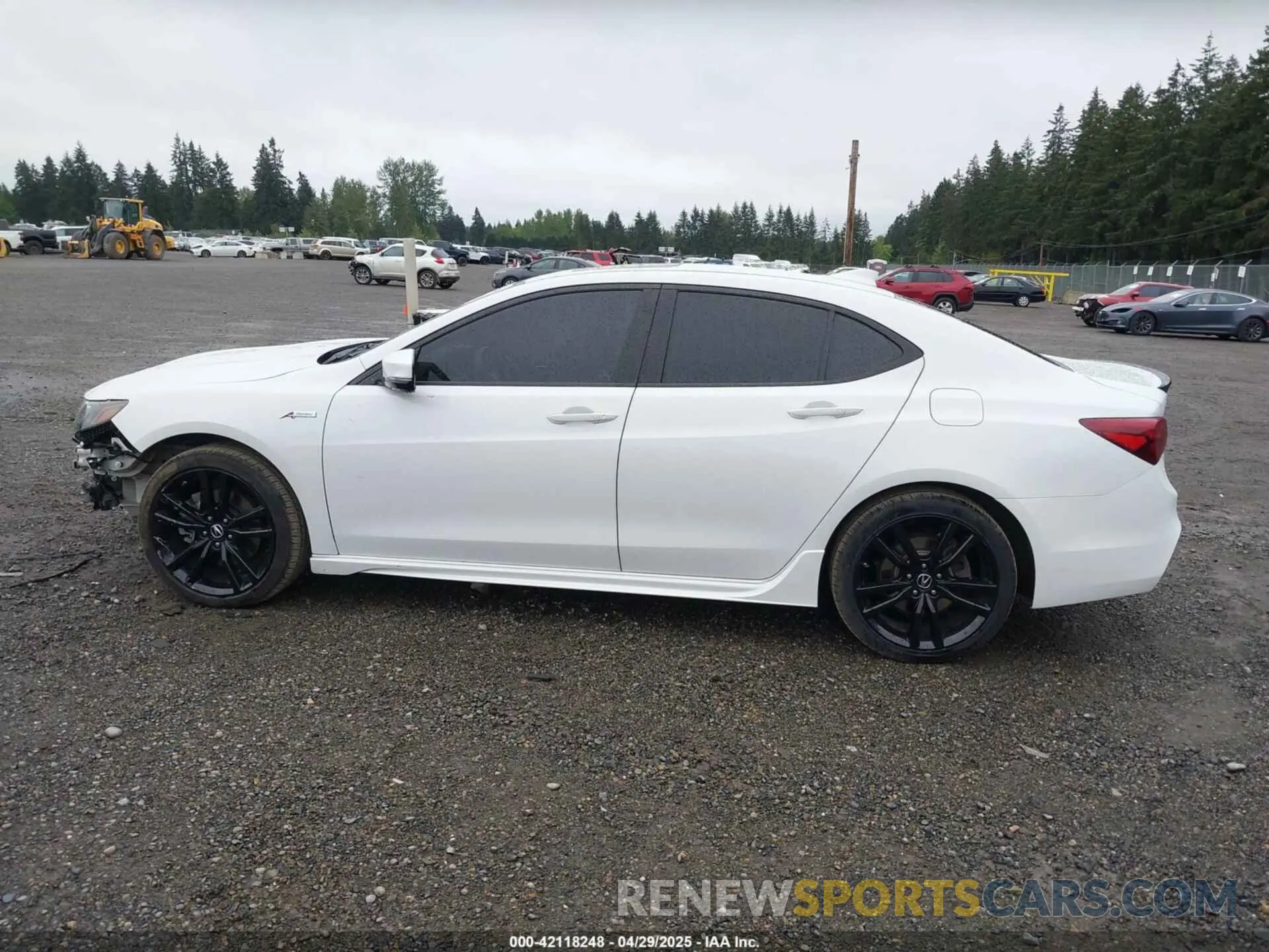 15 Photograph of a damaged car 19UUB3F6XKA003799 ACURA TLX 2019