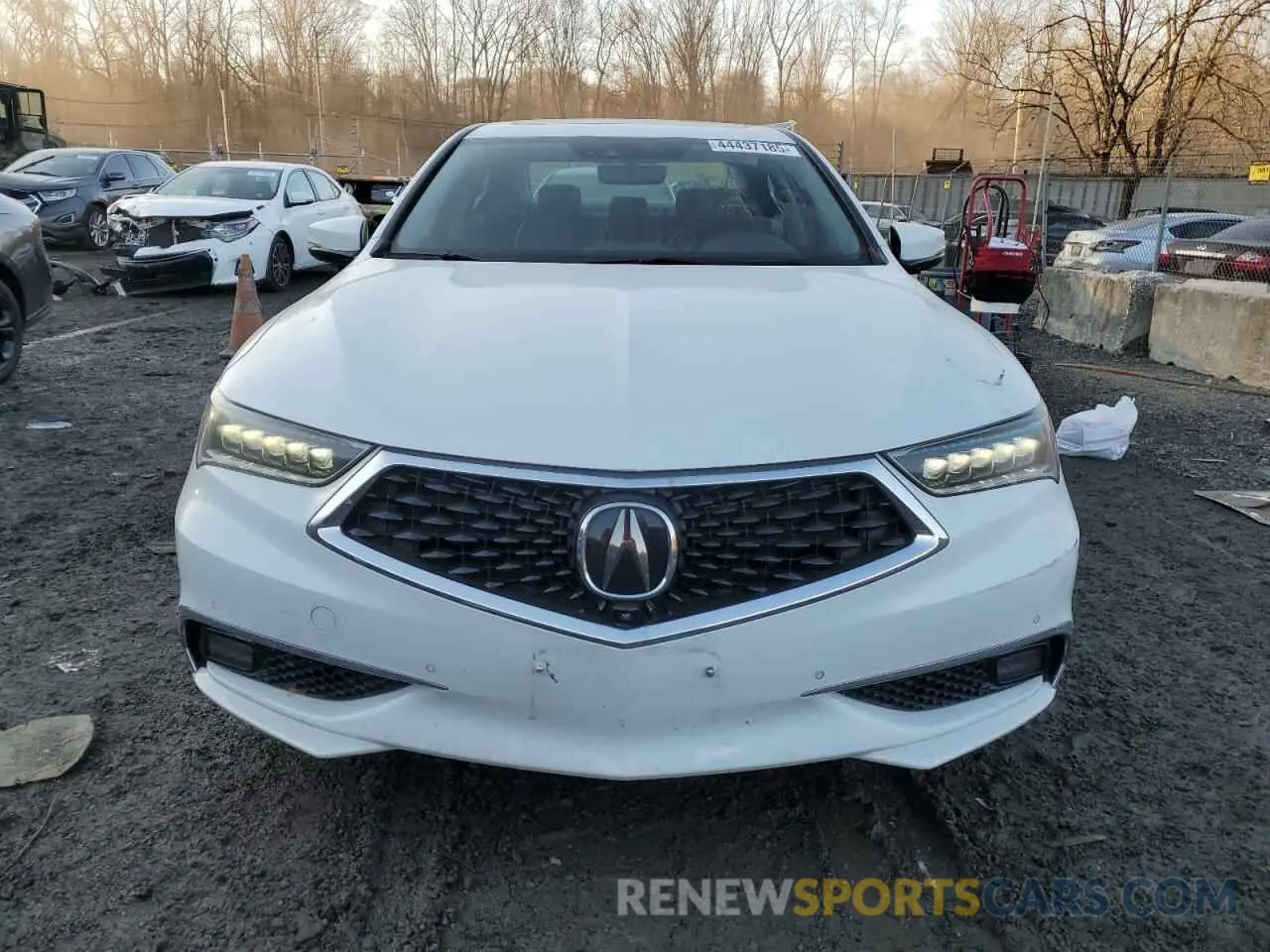 5 Photograph of a damaged car 19UUB3F83KA006254 ACURA TLX 2019