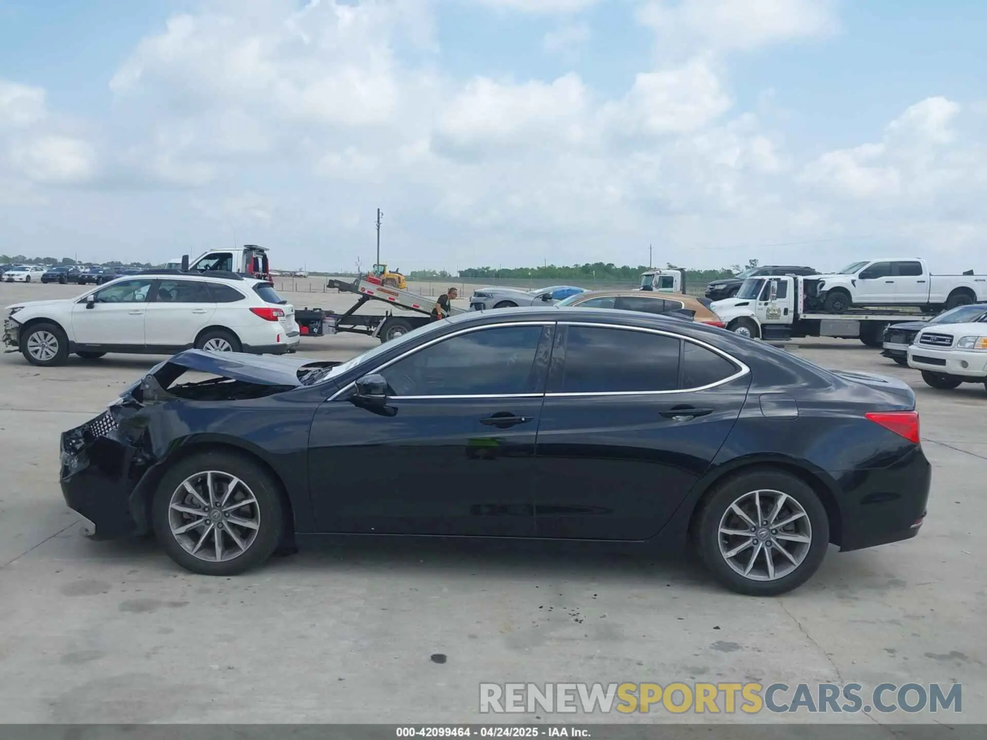 14 Фотография поврежденного автомобиля 19UUB1F39LA004521 ACURA TLX 2020