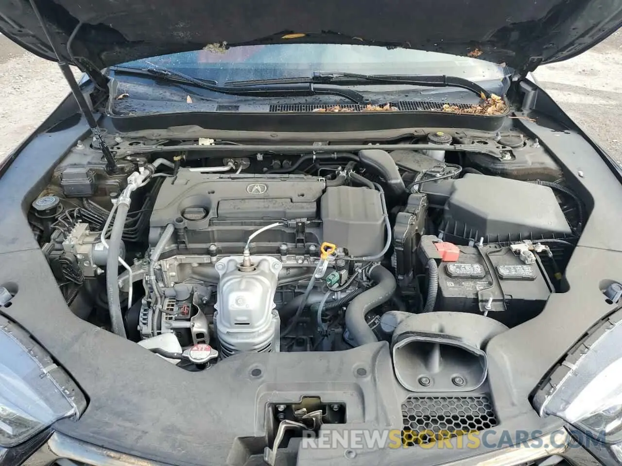 11 Фотография поврежденного автомобиля 19UUB1F62LA009571 ACURA TLX 2020