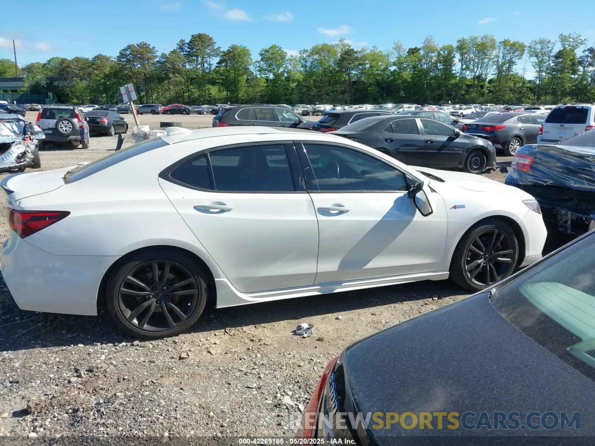 13 Photograph of a damaged car 19UUB1F64LA009815 ACURA TLX 2020