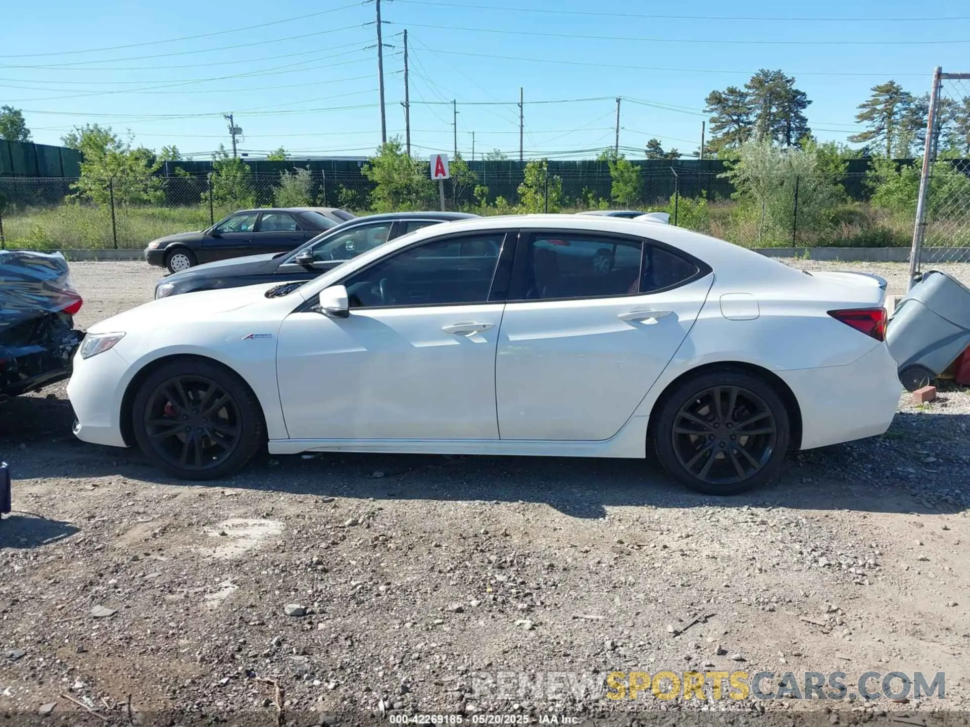 14 Photograph of a damaged car 19UUB1F64LA009815 ACURA TLX 2020