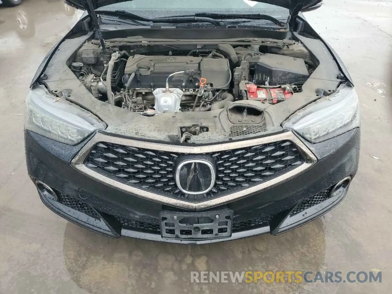 11 Photograph of a damaged car 19UUB1F69LA008367 ACURA TLX 2020