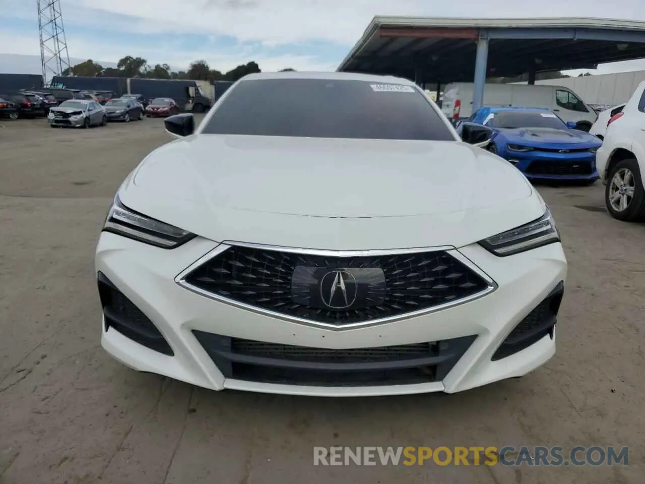 5 Photograph of a damaged car 19UUB5F3XMA002401 ACURA TLX 2021