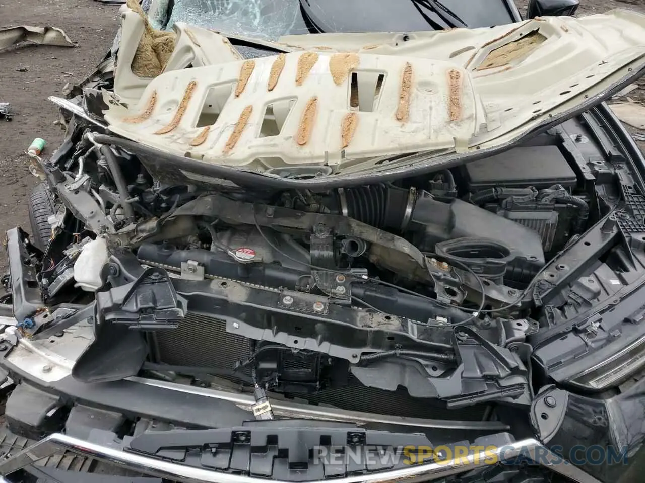 12 Photograph of a damaged car 19UUB5F3XMA016590 ACURA TLX 2021