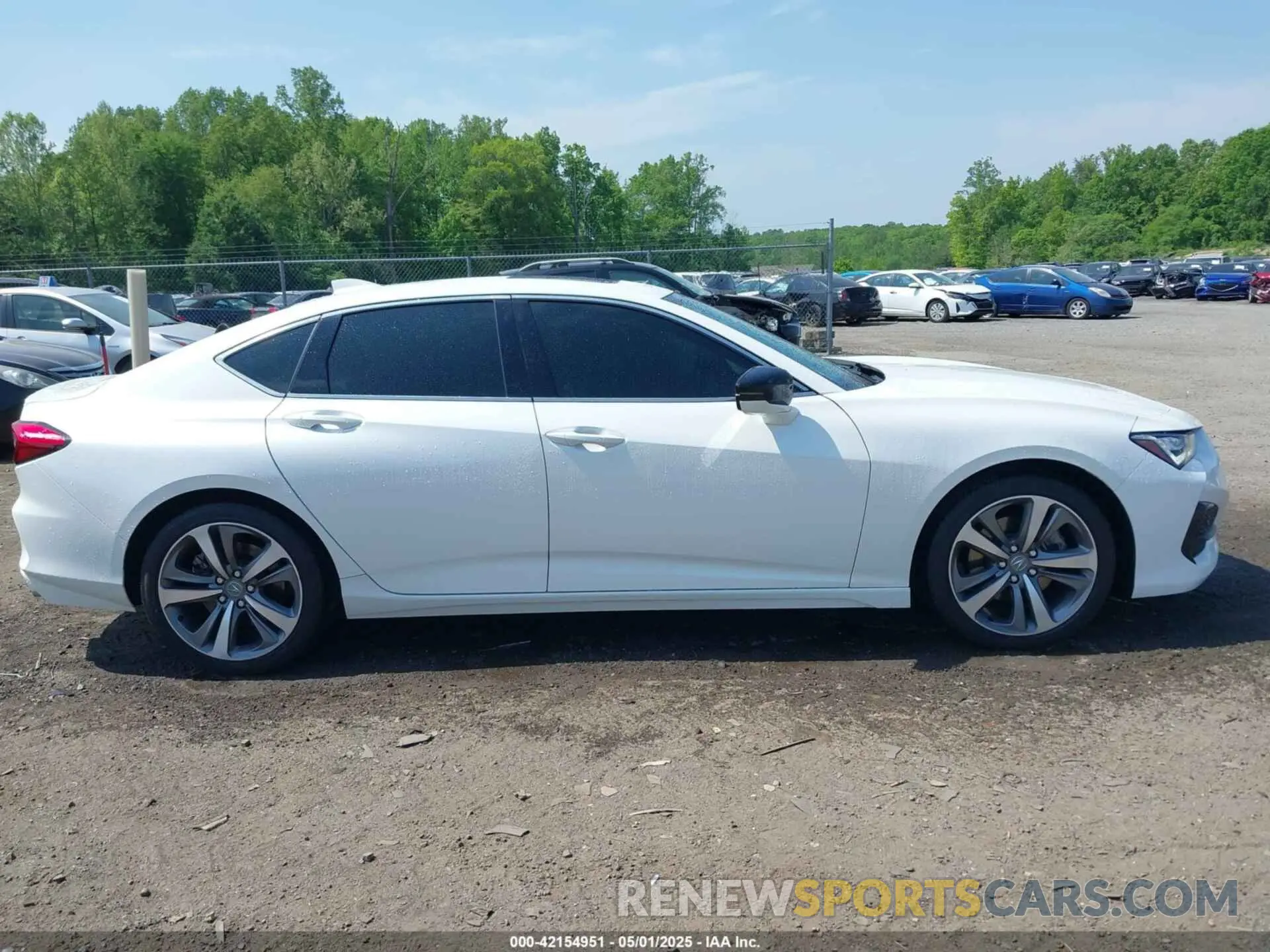 13 Photograph of a damaged car 19UUB5F42MA012008 ACURA TLX 2021