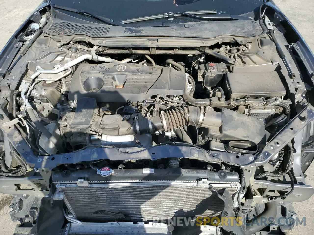 13 Photograph of a damaged car 19UUB5F46MA007605 ACURA TLX 2021