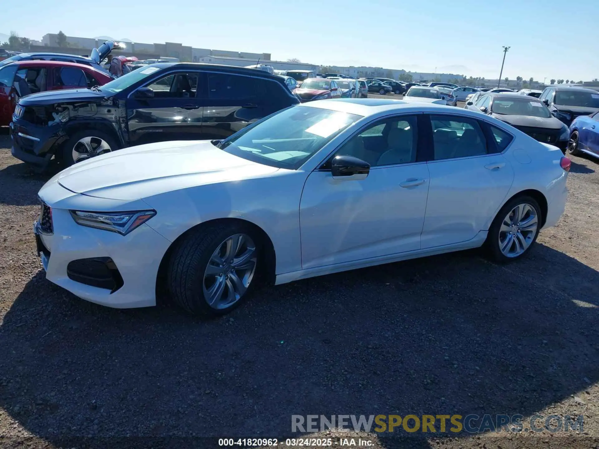 14 Фотография поврежденного автомобиля 19UUB5F48MA002731 ACURA TLX 2021