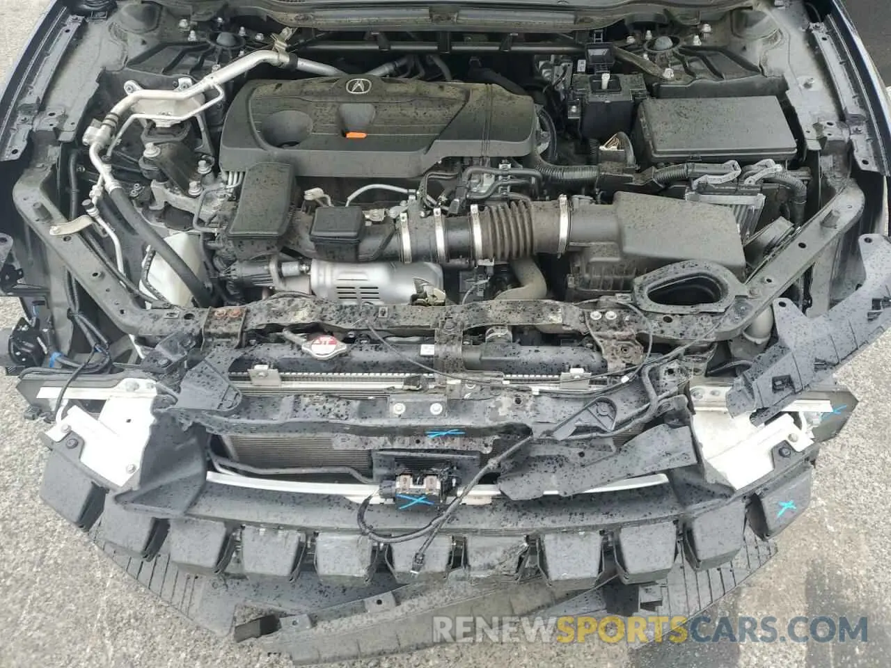 11 Photograph of a damaged car 19UUB5F59MA003282 ACURA TLX 2021