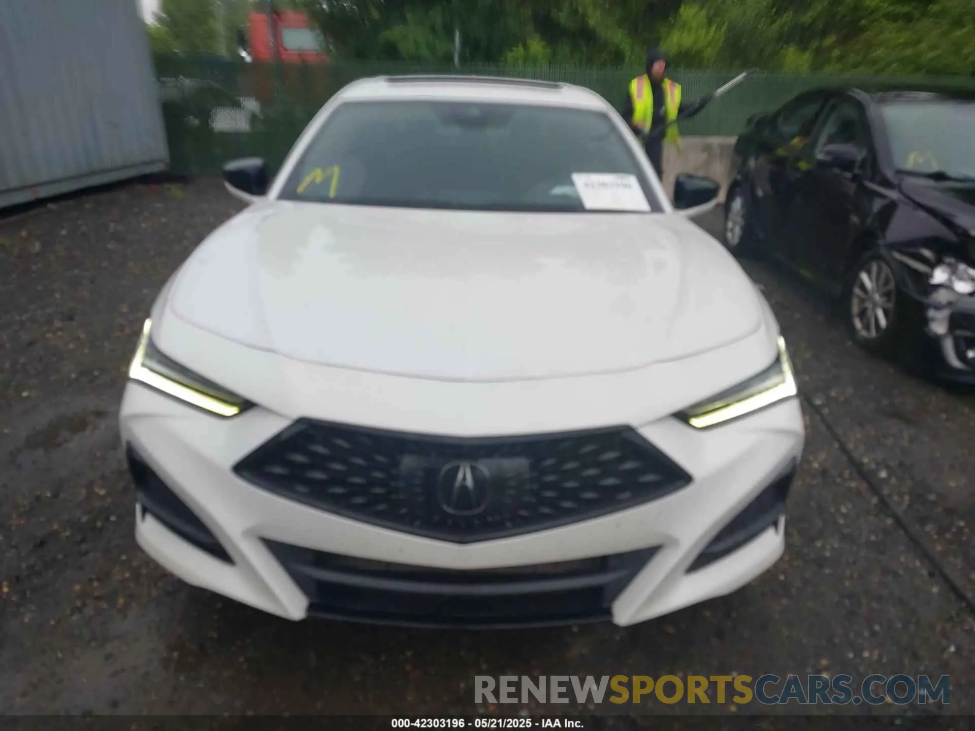 12 Фотография поврежденного автомобиля 19UUB5F59MA010796 ACURA TLX 2021