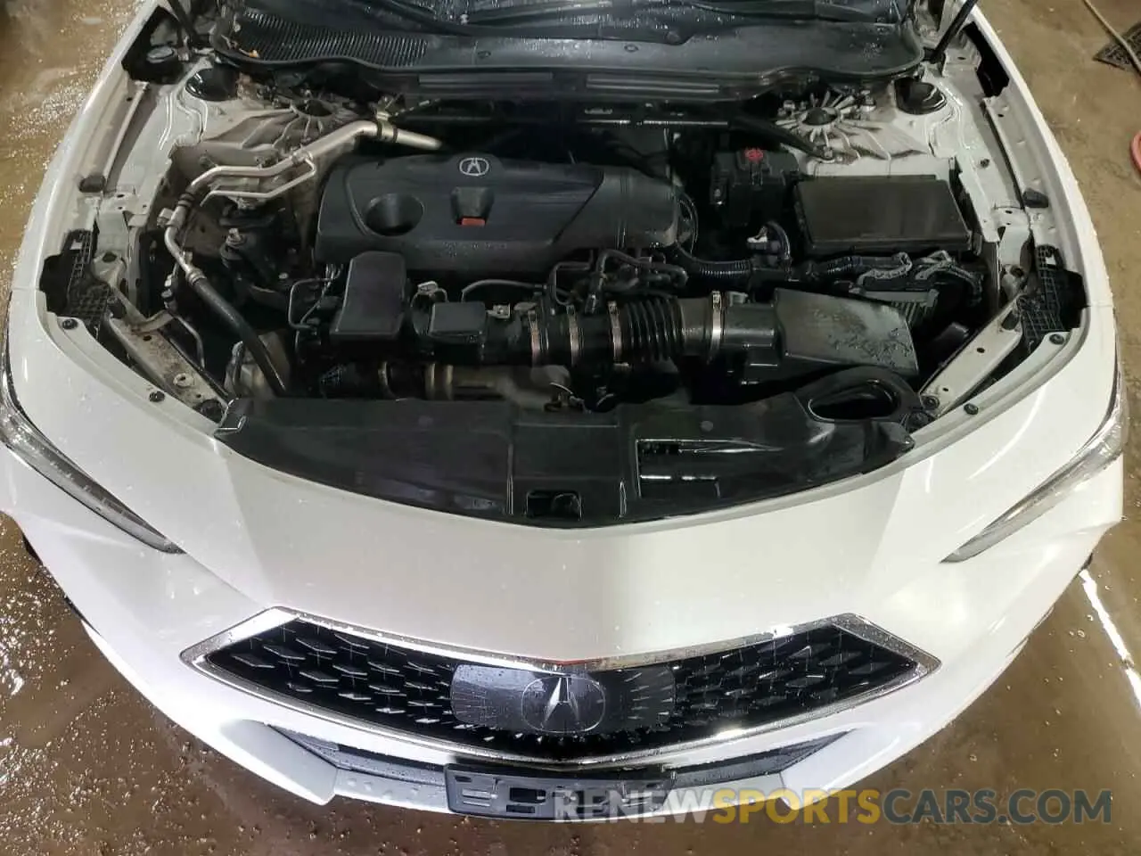 11 Photograph of a damaged car 19UUB5F60MA000909 ACURA TLX 2021