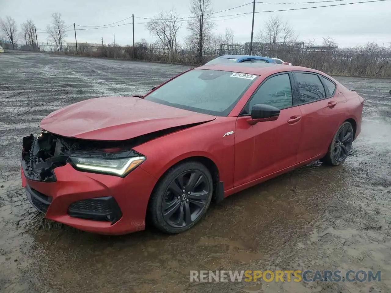 1 Photograph of a damaged car 19UUB6F53MA800181 ACURA TLX 2021