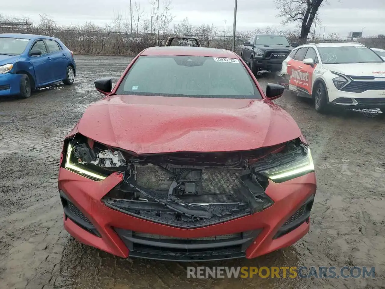 5 Photograph of a damaged car 19UUB6F53MA800181 ACURA TLX 2021