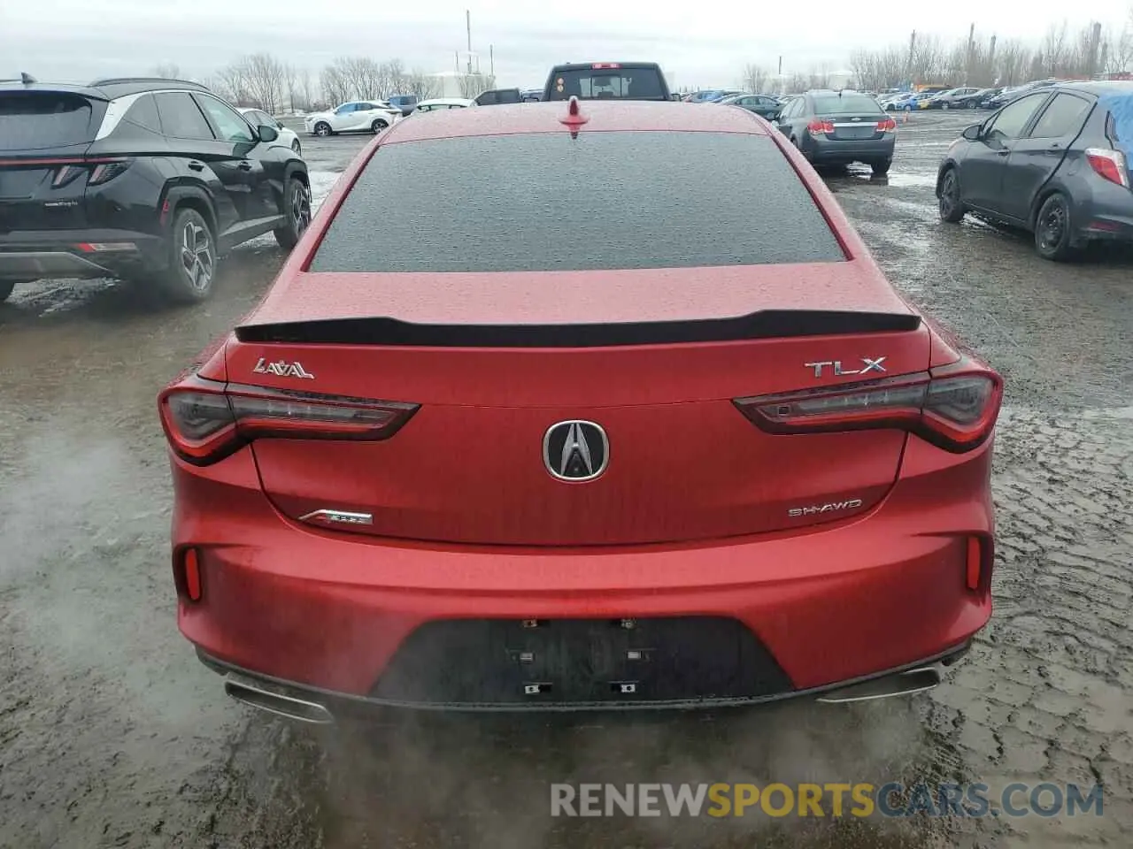 6 Photograph of a damaged car 19UUB6F53MA800181 ACURA TLX 2021