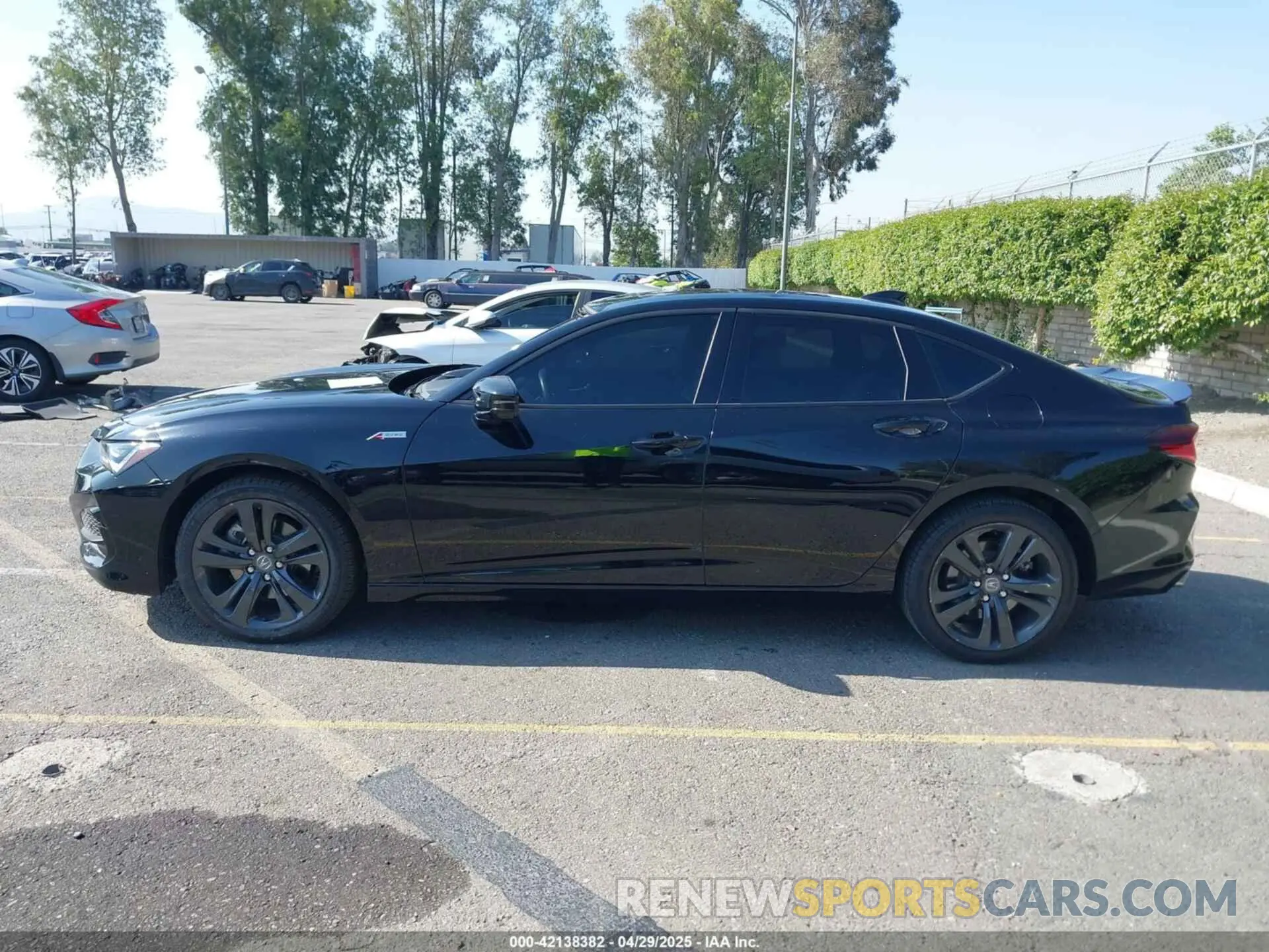 14 Photograph of a damaged car 19UUB6F58MA009600 ACURA TLX 2021